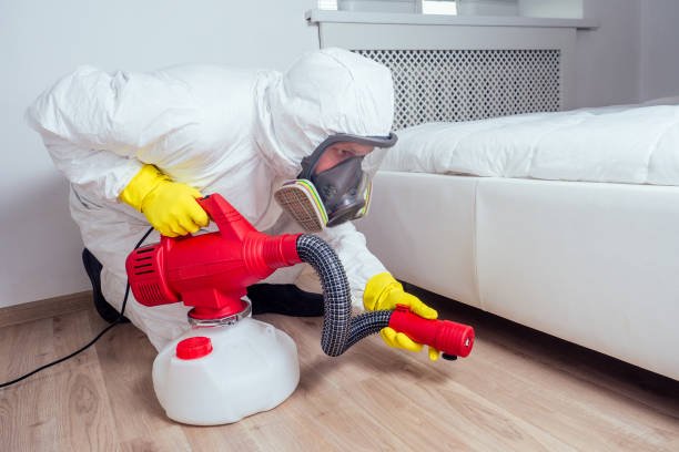 Emergency Pest Control in Linden, NJ